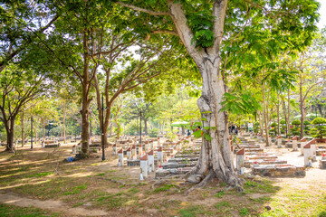 View of Hang Duong Cemetery. Where have Vo Thi Sau grave, rebels and prisoners who died at the prisons on Con Dao Island, Vietnam