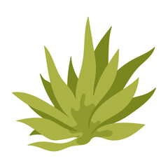 Tropic leaf, flower, colorful handrawn flat illustration.