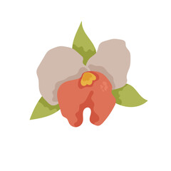 Tropic leaf, flower, colorful handrawn flat illustration.