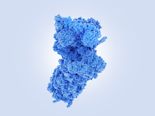 26S proteasome. Proteasomes degrade unneeded or damaged proteins.