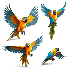 Fototapeta premium set of colorful macaw, parrot