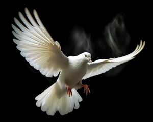 White dove in flight on black background. Generative Ai Illustration.