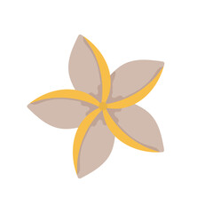 Tropic leaf, flower, colorful handrawn flat illustration.