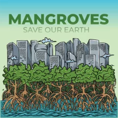 Foto op Canvas Mangroves protect buildings from tsunamis and abrasion © oshdr