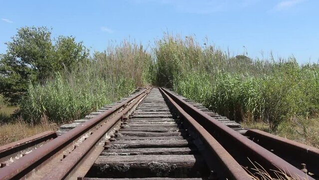 This captivating video features an old, rusty railway bridge with a mesmerizing perspective, leading towards a backdrop of Spanish Giant Reeds (Arundo donax). Witness the unique combination of industr