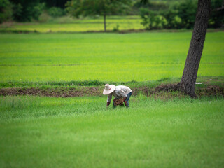 Obraz premium Kanchanaburi