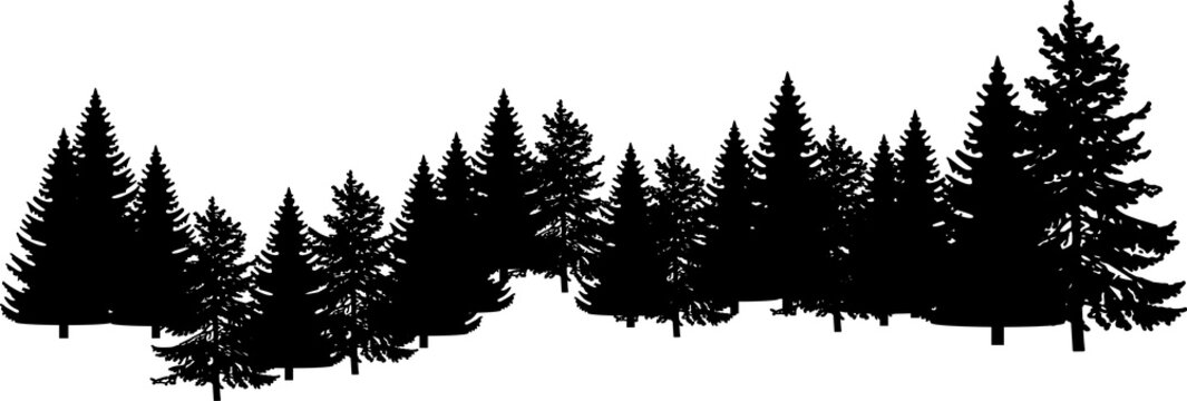 1,716 Treeline Silhouette Images, Stock Photos, 3D objects