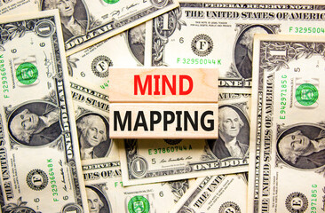 Mind mapping symbol. Concept words Mind mapping on wooden blocks on a beautiful background from dollar bills. Business, support, motivation, psychological and mind mapping concept. Copy space.