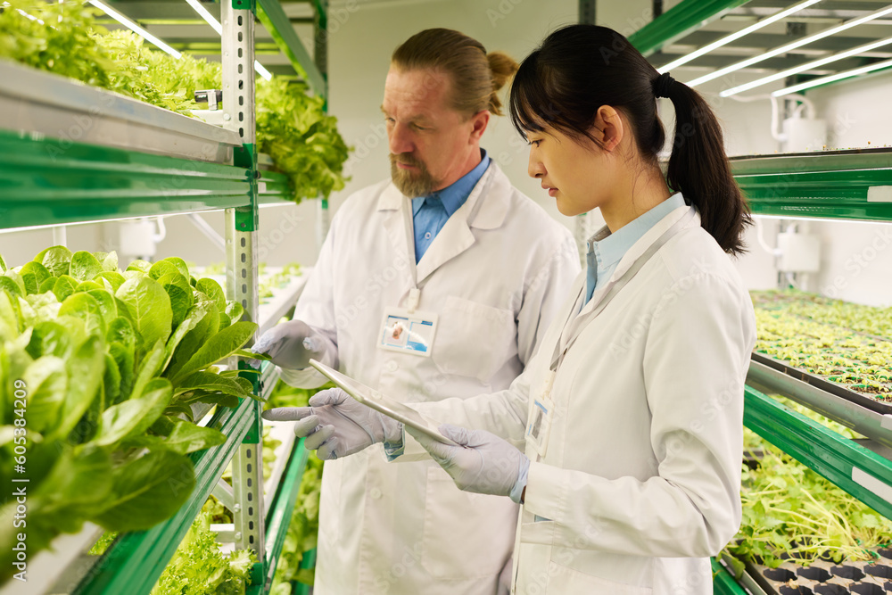 Poster two intercultural agro engineers in lab coats and protective gloves standing in front of vertical tr