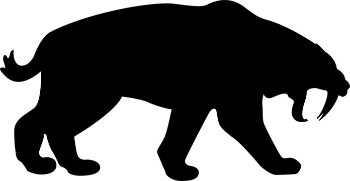 Saber Tooth Silhouette