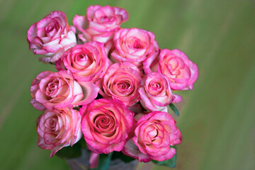 Bouquet of rose flowers on green blurred background, horizontal orientation