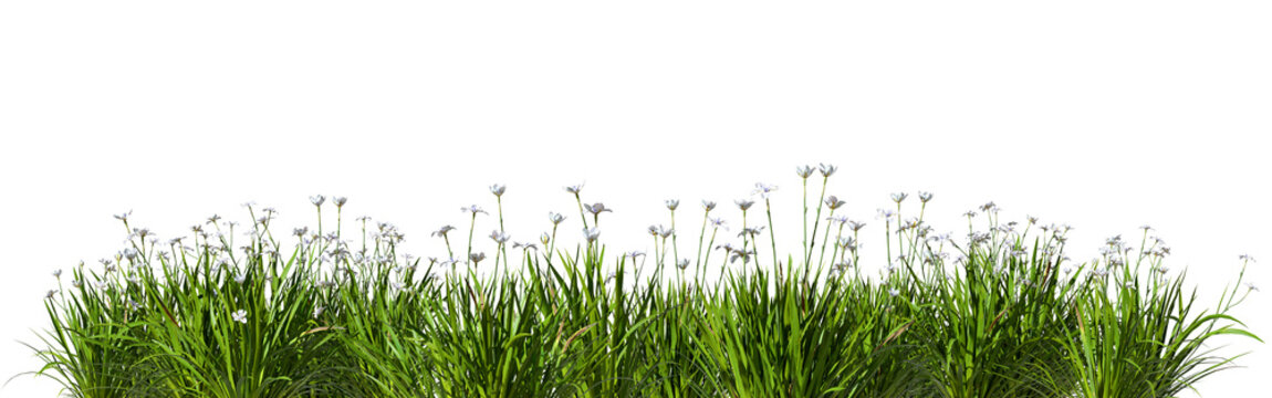 Cut out grass flowery horizontal prairie row 3d render png