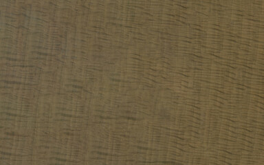 Dark stained rippled sycamore veneer isolated