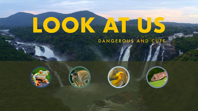 Popping Circles Overlay