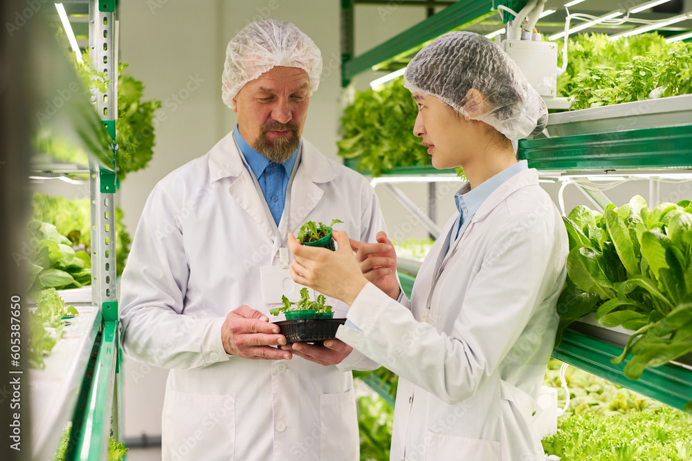 Poster two intercultural professionals in lab coats and caps discussing characteristics of seedlings of new