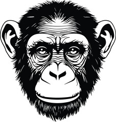 Chimpanzee Logo Monochrome Design Style
