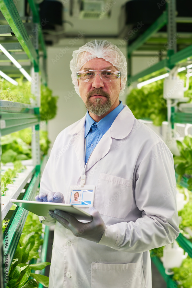 Poster serious male agronomist and owner of vertical farm using tablet while standing between trusses with 