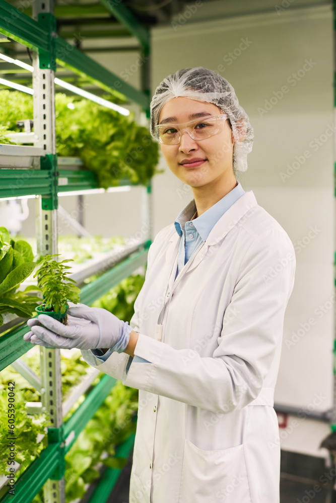 Poster young asian scientist or worker of vertical farm holding small pot with green seedling and looking a