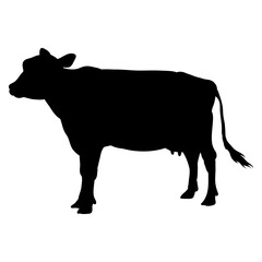 cow qurban sillhouette