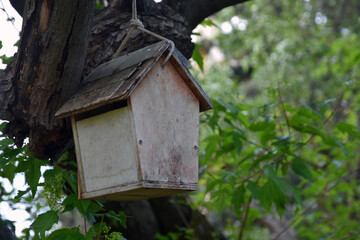 Wooden bird house