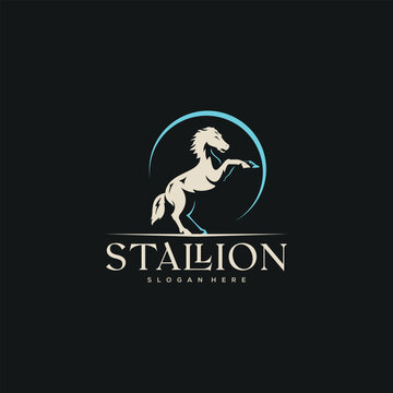 beautiful standing horse white equestrian vector design inspiration