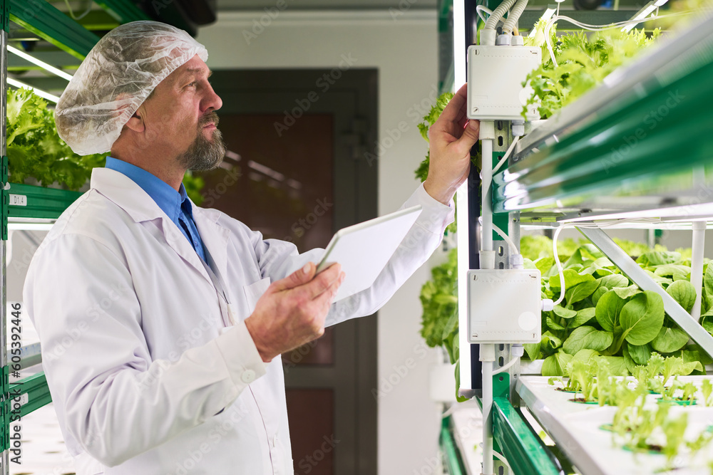 Poster mature male worker of vertical farm with tablet adjusting temperature or light on side panel of trus