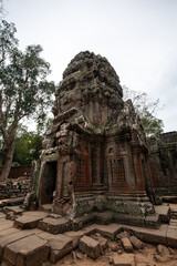 Ta Prohm Temple in Angkor Archaeological Park, Siem Reap, Cambodia