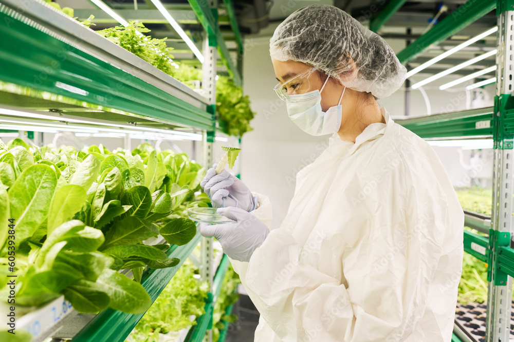 Poster young female scientist with pipette and petri dish studying green spinach and other plants while tak