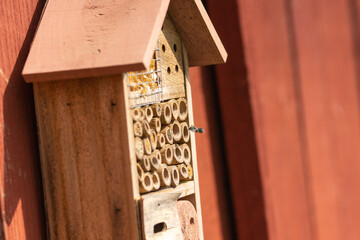 hotel à abeilles, hotel à insectes,abeilles,insectes,sauvages,abeilles sauvages, abeille en vol, insecte en vol, gros plan, macro, plein cadre