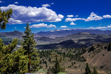 Highway 395 Red Lake Leavitt Meadow