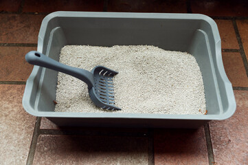 modern cat litter. spatula for cleaning the cat tray. cat tray. close-up