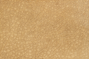 Leather background texture with wrinkles and cracks, embossed under skin of reptile