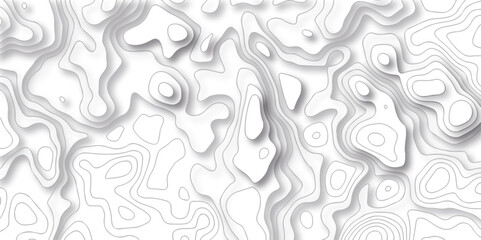 Seamless pattern Topographic line map background. Abstract pattern with lines. Vector sea map and mount map geographic and topographic contours map background. White wave paper curved reliefs.