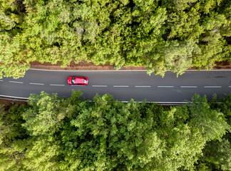 Drone shot of a straight road from above surrounded by trees with a red car driving on it © Manolo