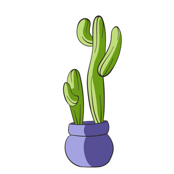 Cactus flat and line art style. Green cactus in a flowerpot isolated on a white background. Doodle style illustration.