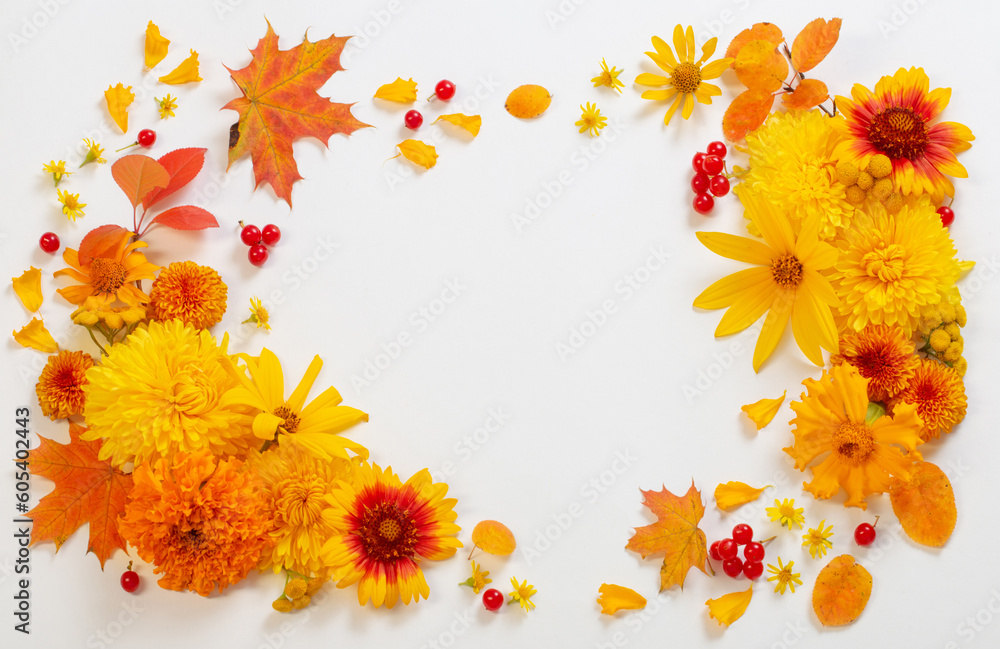 Wall mural autumn flowers and leaves on white paper background