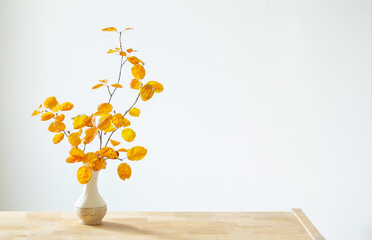 autumn branches with orange leaves in vase  on white background