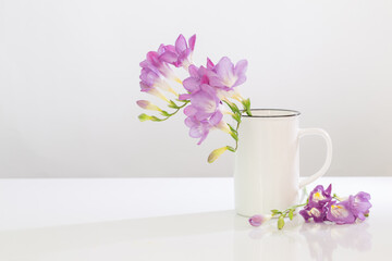 purple freesia in glass vase on white background