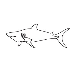 continuous line one line aquatic animal shark hand drawn illustration vector