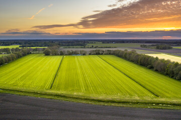 Aerial view of agricultural meadow landscape