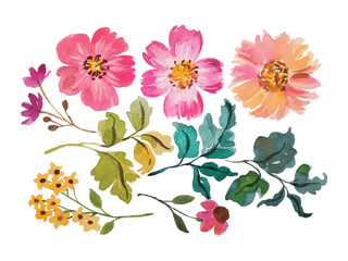 watercolor flower elements hand draw