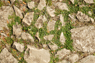 Abstract texture of the cobblestone footpath with grass and stones. Natural textures and patterns for games