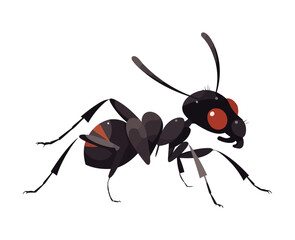 Small ant walking, isolated icon