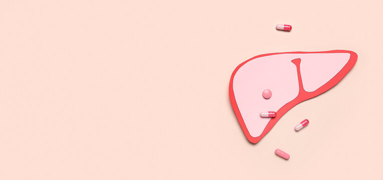 Paper liver and pills on beige background with space for text