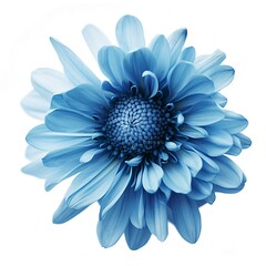 Blue flower isolated on white background, png with transparency , generate ai