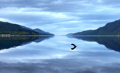 Nessie im Loch Ness in Schottland