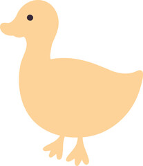 
Duck is drawing cartoon design.