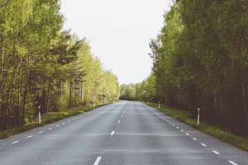 road in the forest