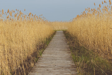 Obraz premium boardwalk on the beach