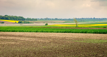 widok na pola wiosną © robert6666